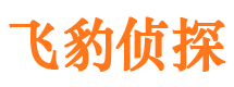 阿拉尔市私家侦探